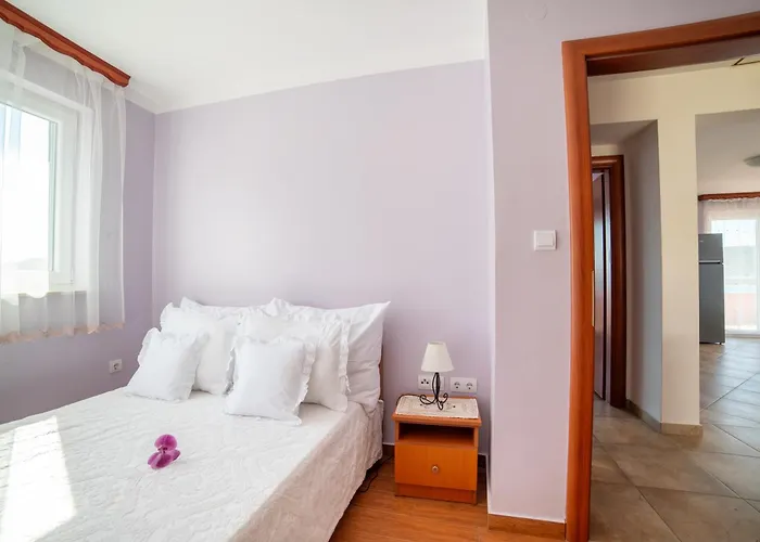 Panorama View 티스노